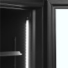 Vitrine Réfrigérée Positive Noire - 2 Portes Vitrées - 524 L TEFCOLD : Eleganssi ja Suorituskyky Ammattilaisille