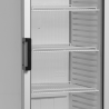 Armoire Réfrigérée à Boissons 1 Porte Vitrée 347L TEFCOLD : Élégance et Performance