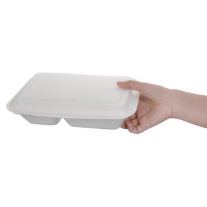 Laatikot 2 osastoa Bagasse Kompostoitavat 253 mm - Erä 200