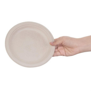 Assiettes ovales compostables en bagasse 198 mm - Lot de 50, qualité professionnelle