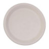 Assiettes Ovales Compostables en Bagasse 316mm - Lot de 50, Livraison Rapide, Haute Qualité