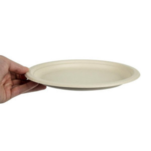 Compostable wheat fiber eGreen plates 250 mm - Pack of 1000