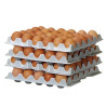 HENDI OVOBOX 120 egg trays for professional storage