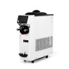 Dynasteel Ice Cream Machine - 1 Professional Flavor