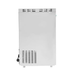 Crushed Ice Machine - Dynasteel 100 Kg: Professional Quality