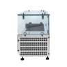 Refrigerated Glass Saladette 6 x GN 1/4 Dynasteel: Optimal organization in the kitchen