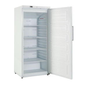 White Ventilated Freezer Cabinet - 600 L - Dynasteel