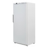 Armoire de Congélation Blanche Ventilée - 600 L - Dynasteel