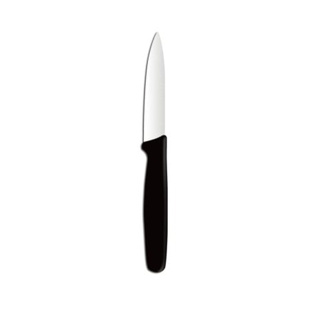 Pointed Peeler Knife