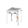 Professional Green Fire Gas Barbecue with 2 burners - Brand HENDI