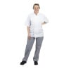 Mixed Vegas Kitchen Pants in Small Blue and White Checkered - Whites Chefs Clothing - Fourniresto