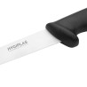 Black 15 cm Fillet Knife - Hygiplas - Fourniresto