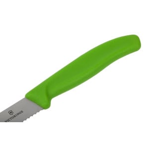 Tomaattiveitsi vihreä hammaslaitainen terä 11 cm - Victorinox - Fourniresto