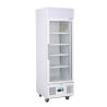 White Positive Refrigerated Display Case Series G - 218 L - Polar - Fourniresto