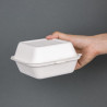 Compostable Hamburger Boxes - L 153mm - Pack of 500 - Fiesta Green