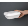 Hinged Bagasse Compostable Trays - 500 ml - Pack of 250 - Fiesta Green