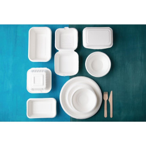 Barquettes À Charnière en Bagasse Compostables - 500 ml - Lot de 250 - Fiesta Green