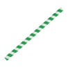 Sugrör för smoothie i papper - gröna - L 210mm - 250-pack - Fiesta Green