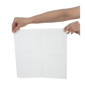 White Paper Snack Napkins 1 Ply 330 X 330 mm - Pack of 5000 - FourniResto