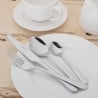 Table Knife Buckingham - Set of 12 - Olympia