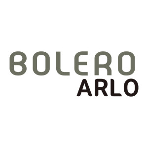 Dark Gray Arlo Chair - Set of 2 Bolero: Comfort, robustness, and elegance
