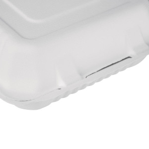 Kompostoitavat Bagasse-laatikot 223 mm - 200 kpl, ympäristöystävälliset