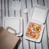 Compostable Bagasse Boxes 223mm - Pack of 200, eco-friendly