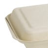 2-Compartment Compostable Natural Bagasse Boxes - Eco-friendly Solution