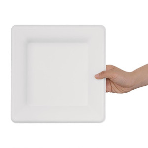 Assiettes carrées compostables en bagasse 261 mm - Lot de 50 - Écologiques et pratiques