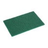 Abrasive Pad - Pack of 10 - Jantex