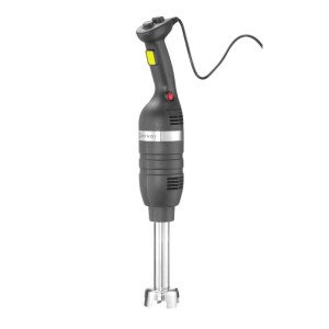 Mixerstav med en blandningsstav på 250 mm - HENDI