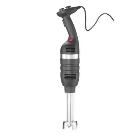 Mixerstav med en blandningsstav på 250 mm - HENDI