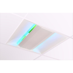 Insect Exterminator with Anti-Shatter Glue for 120 m² - FourniResto