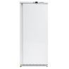 Armoire 570 Liter - Positiv - Ref NMA600TN