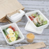 Kompostoituvat bagassiruoka-astiat 650 ml - 100 kpl - Gastronoble