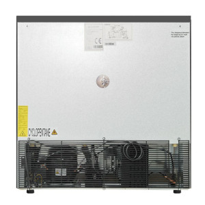 Bakre kylskåp med 2 glasdörrar - Svart interiör Dynasteel