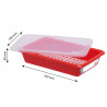 Bac Plat 3L Haccp Rouge + Lock + Galler - Gilac
