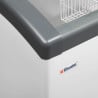 Ice Cream Freezer - 270 L - TEFCOLD