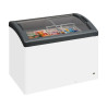 Glassfrys - 270 L - TEFCOLD