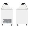Ice Cream Freezer - 191 L - TEFCOLD