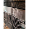 Positive Stainless Steel Refrigerated Cabinet - 600 L - Polar