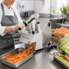 Coupe-Légumes Professionnel 550 W — 2 Goulottes, Alu
