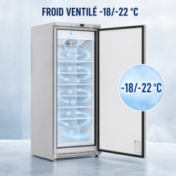 Armoire de Congélation 590 L Inox Froid Ventilé -22 °C