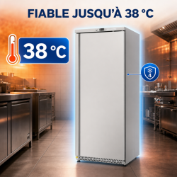 Frysskåp 590 L Rostfritt Stål Ventilerad Kyla -22 °C