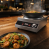Wok för Induktion Pro 3500 W Rostfritt Stål — Konkav Zon Ø227