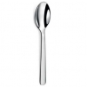 Table Spoon Alkaline Range - Set of 12 - COUZON