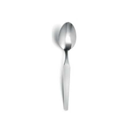 Teaspoon Fjord Range - Set of 12 - AMEFA