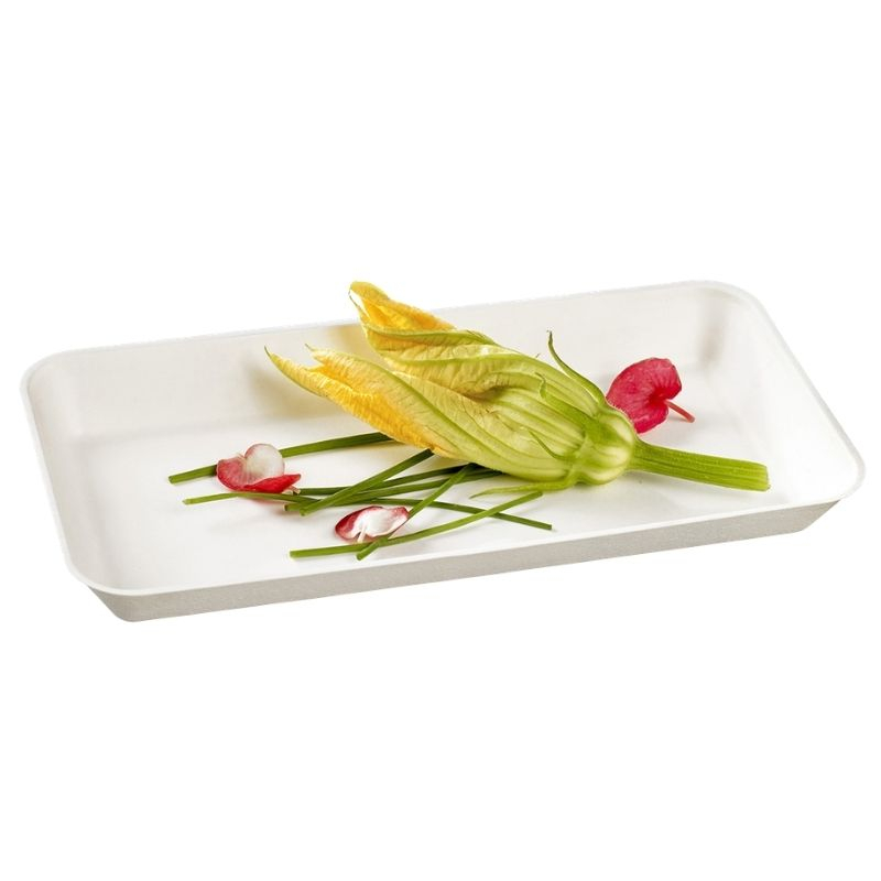 White Canopy Plate - 200 x 100 mm - Pack of 50