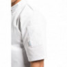 Unisex White Short Sleeve Vegas Kitchen Jacket - Size XXL - Whites Chefs Clothing - Fourniresto