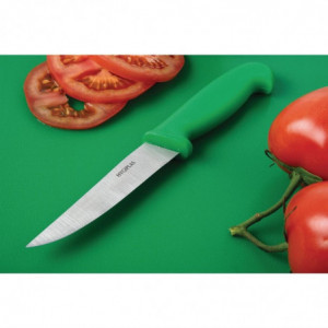 Couteau À Légumes Vert Lame 10 Cm - Hygiplas - Fourniresto